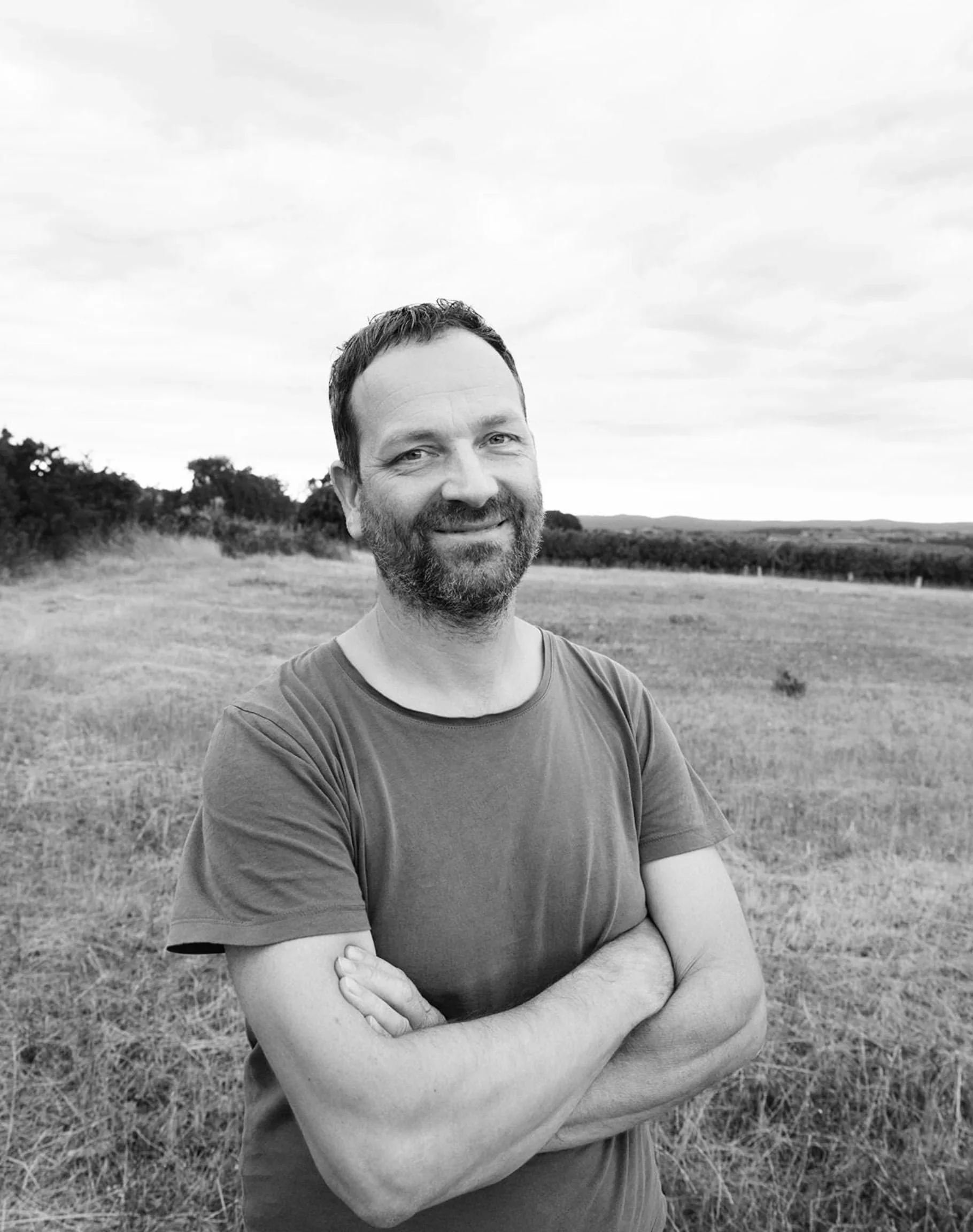 Wenzel | LITTLEWINE | The knowledge platform